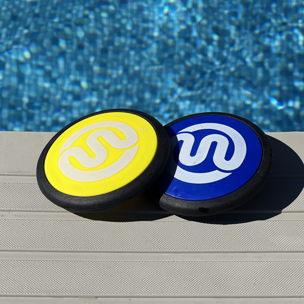 2 Squire swimming pool skipper discs on top rail of above-ground pool