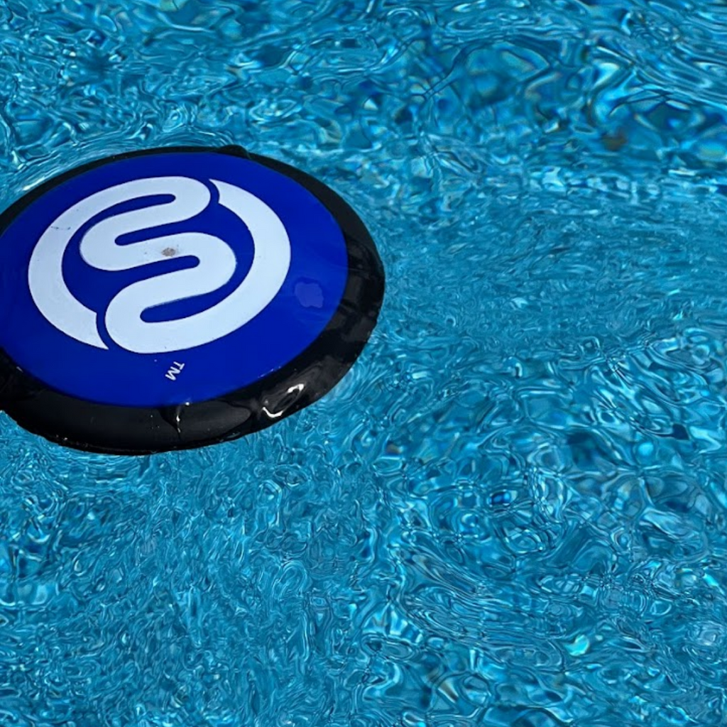 Original Squire skipper disc floating in above-ground swimming pool water